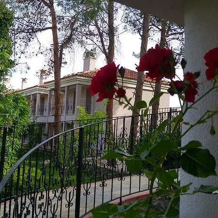 Hotel Pine Valley