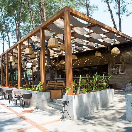 Pine Valley Hotel