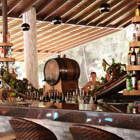 Hotel Pine Valley 4*