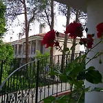 Отель Pine Valley